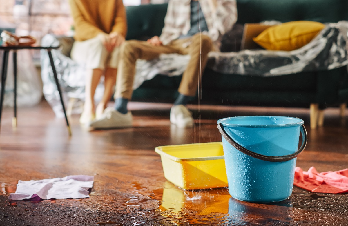 Couple about to paint a room.